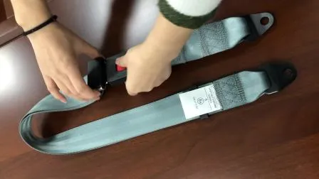 Fea001 E-MARK Certificate Auto Safety Belts 2 Point Bus Seat Belt
