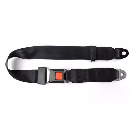 Fea001 E-MARK Certificate Auto Safety Belts 2 Point Bus Seat Belt